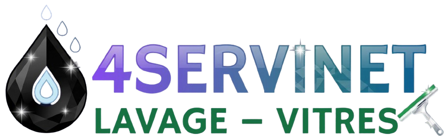 entreprise de nettoyage de vitres lyon rhône 69