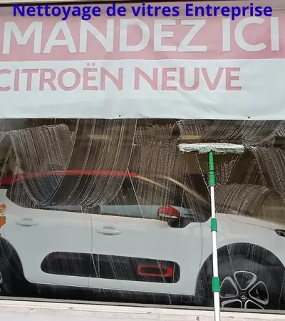 Nettoyage professionnel de vitres d'entreprise, équipe en action